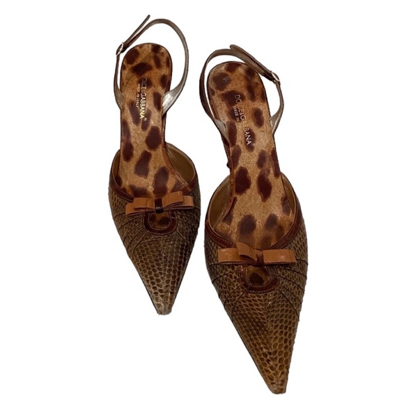 Dolce & Gabbana Shoes - Dolce & Gabbana: Snakeskin Slingback Pumps​​